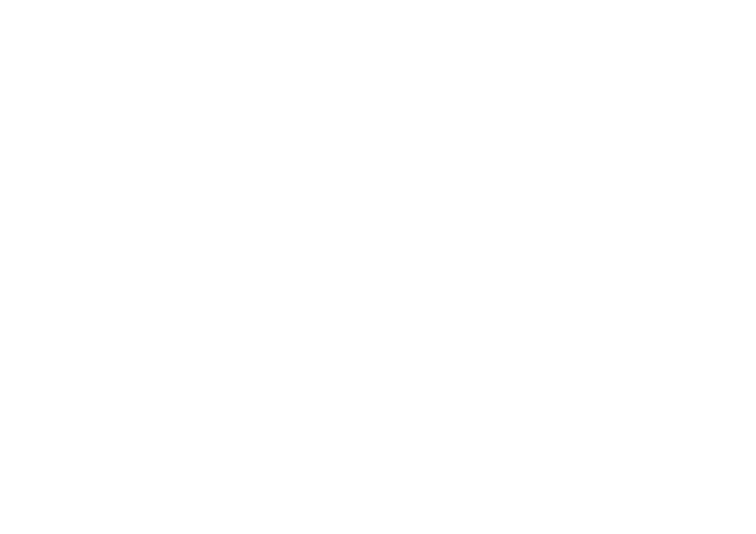 logo insa blanc